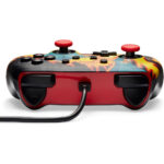 Switch - Manette Dracaufeu Tempête