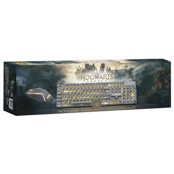 Pack clavier / Souris filaire - Harry Potter - Hogwarts Legacy - Boite