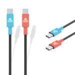 Switch 2 - Câble de charge (3m)